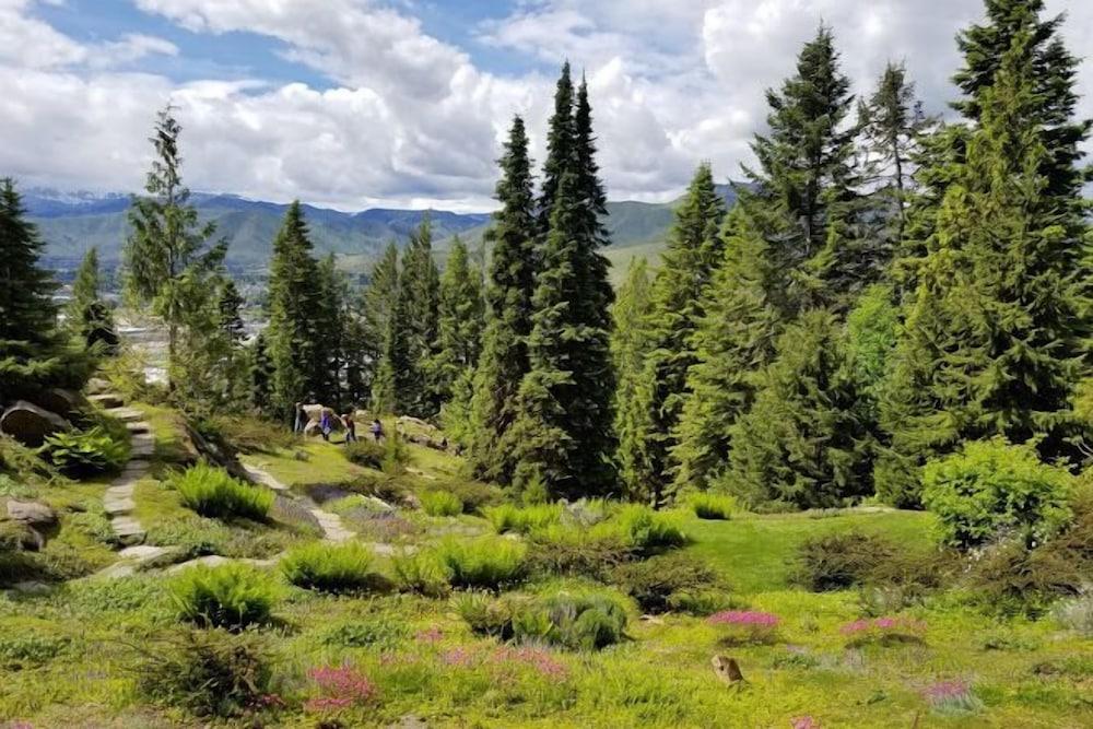 Hilton Garden Inn Wenatchee, Wa Eksteriør billede
